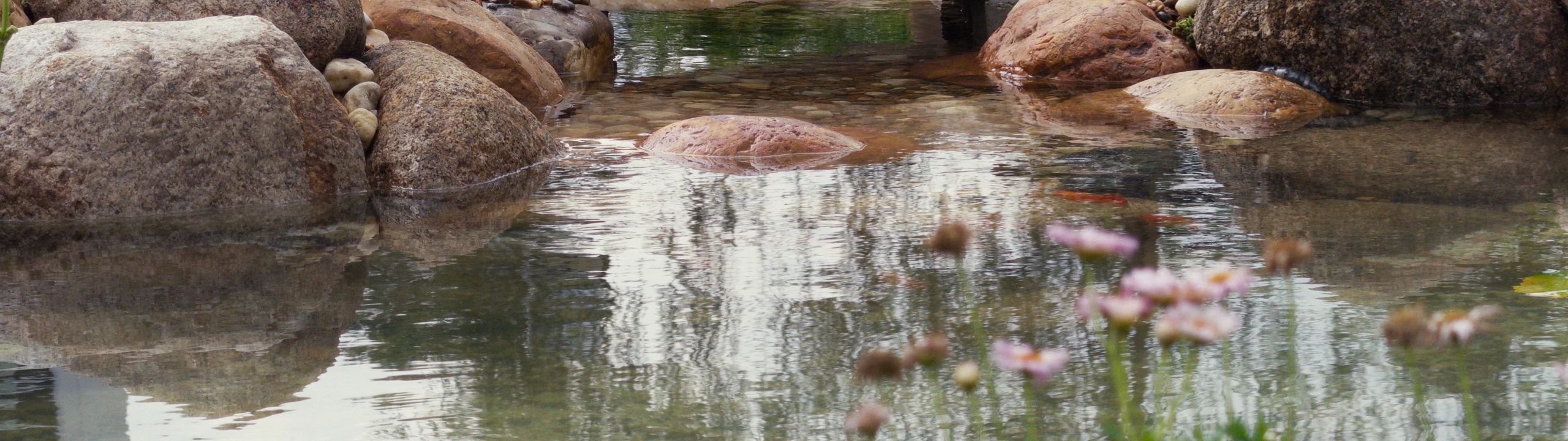 call to action image