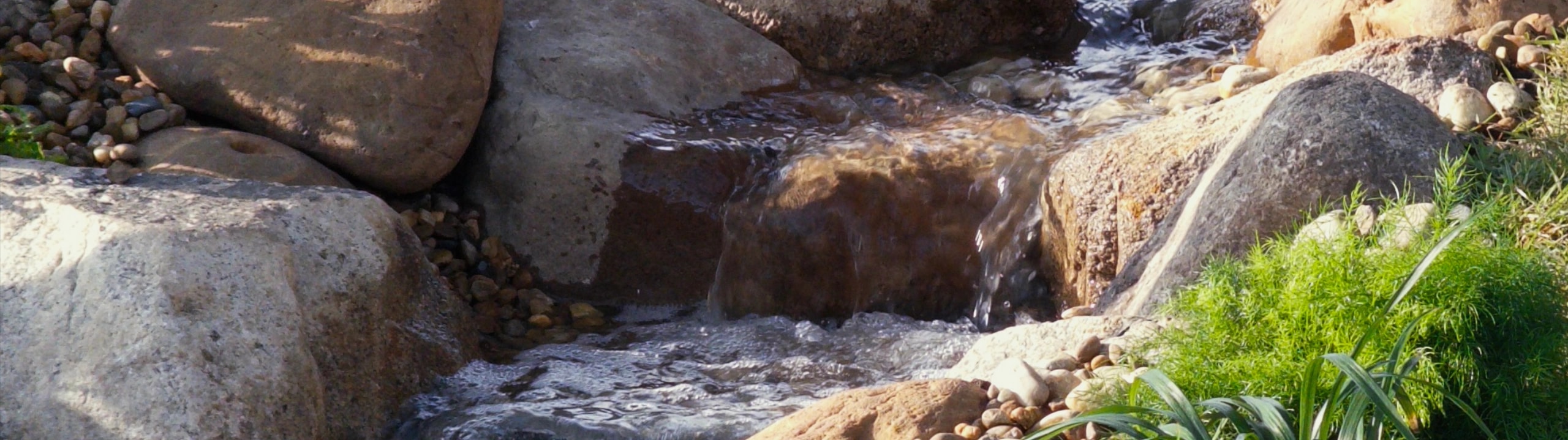 Nature,
Recreated with Heart