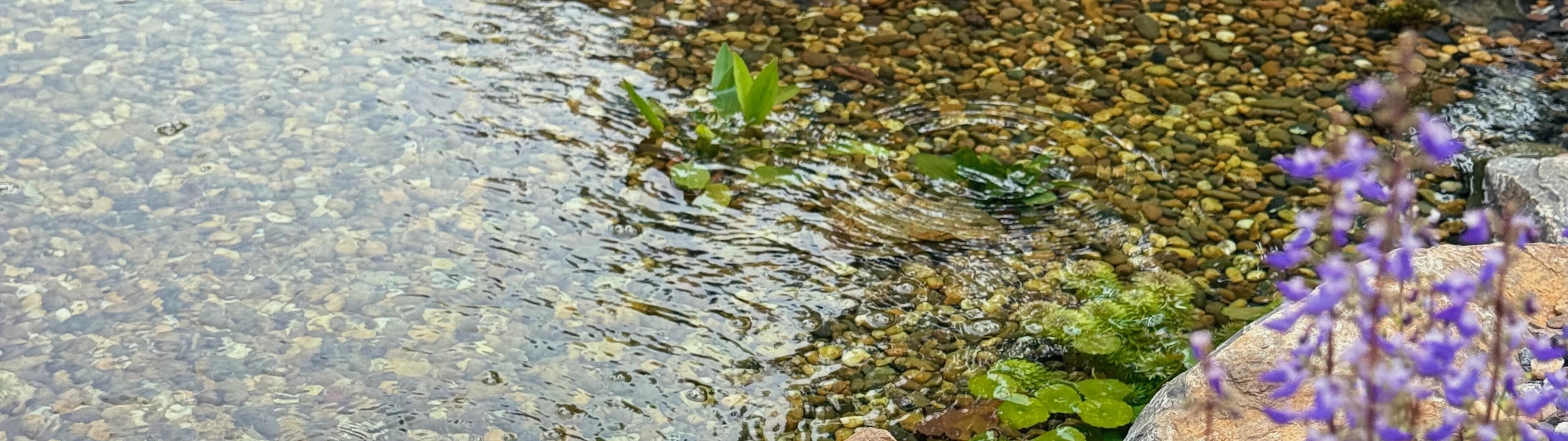 Simple to Keep,
Easy to Love